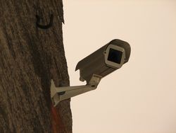 Videosurveillance